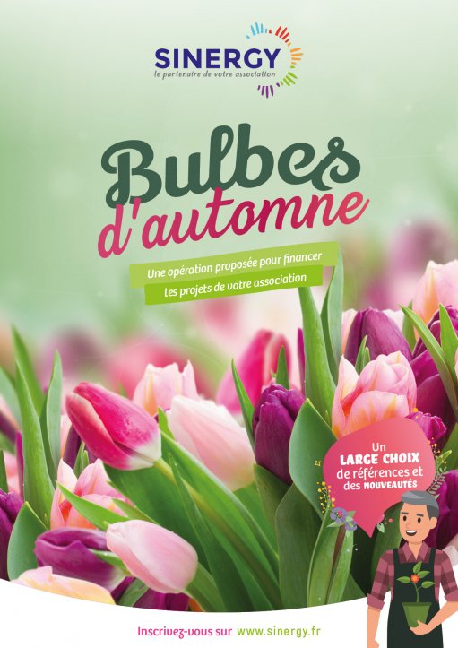 Bulbes d'automne